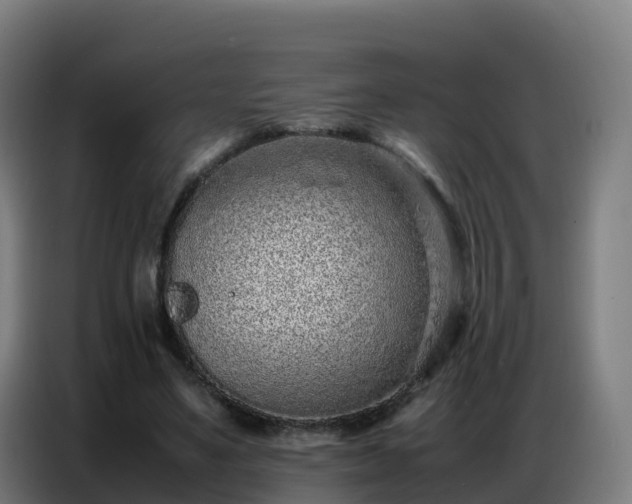 X0000086740491200704201708