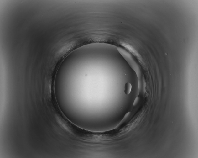 X0000086740493200704201708