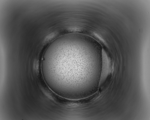 X0000086740494200704201708