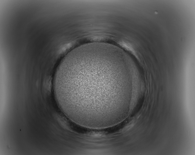 X0000086740495200704201708