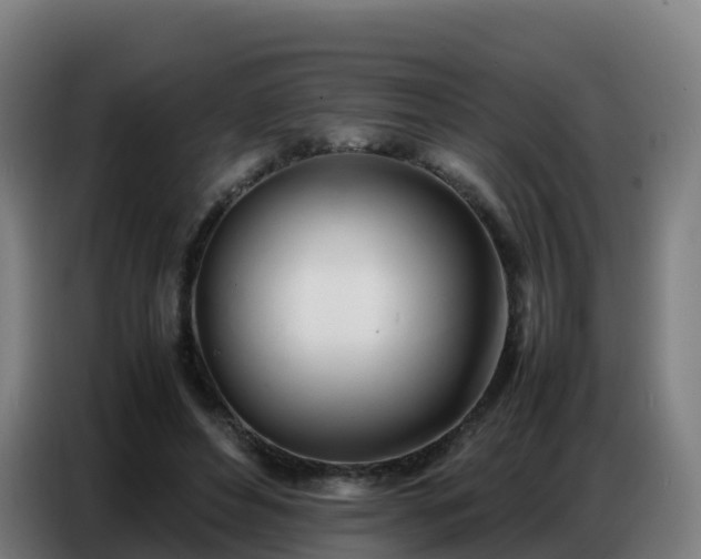 X0000086740496200704201708