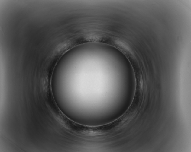 X0000086740498200704201708