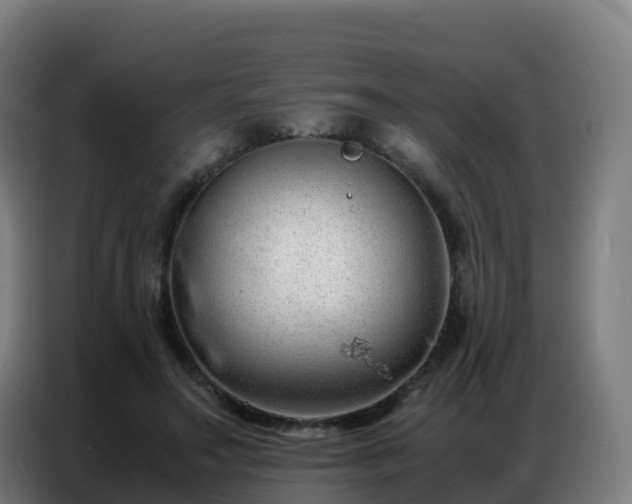 X0000086740499200704201708