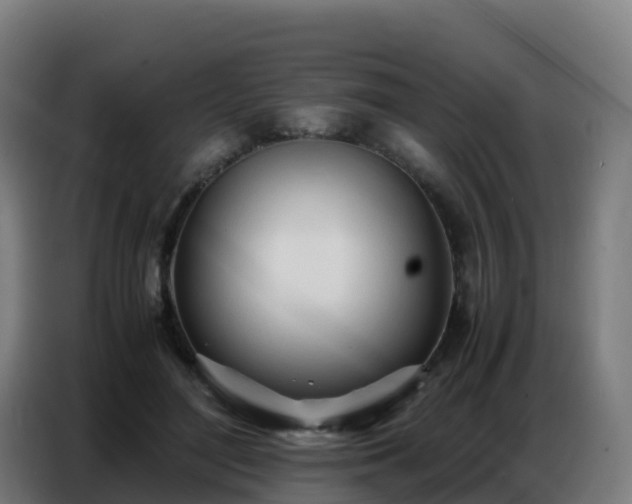 X0000086740500200704201708