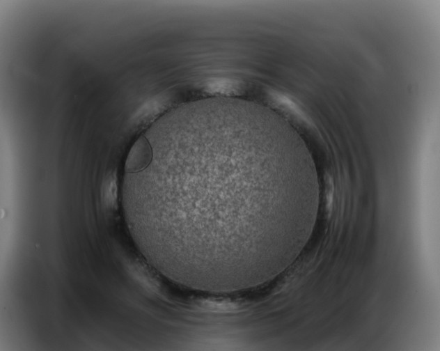 X0000086740502200704201708