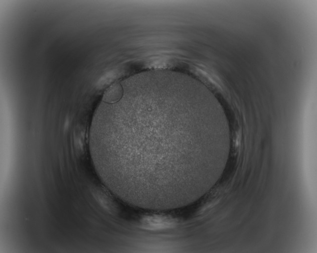 X0000086740503200704201708