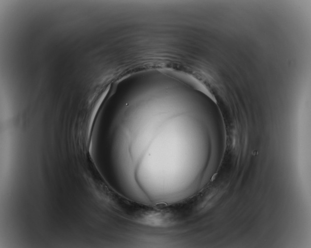 X0000086740504200704201708