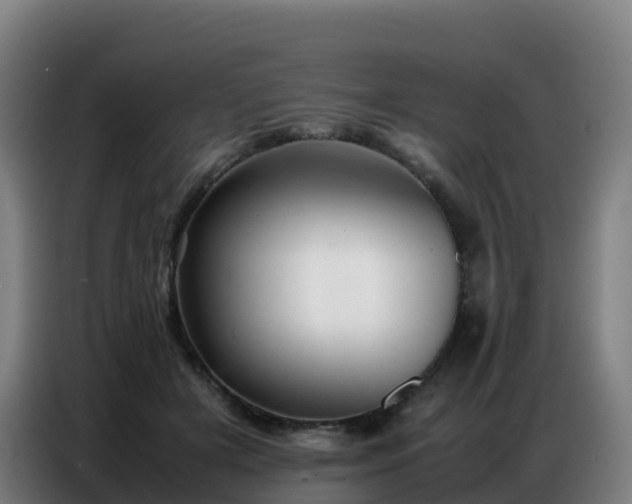 X0000086740505200704201708