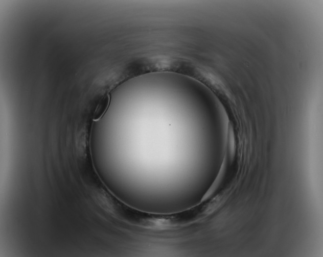 X0000086740509200704201708