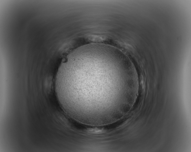 X0000086740511200704201708