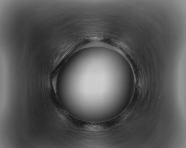 X0000086740512200704201708