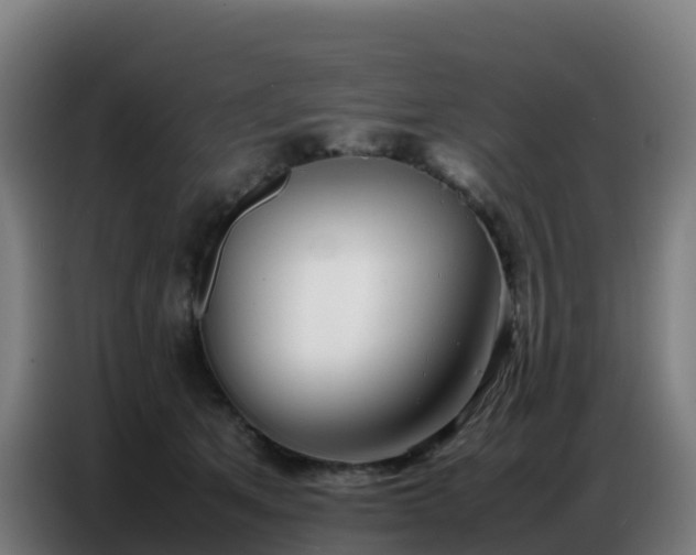 X0000086740513200704201708