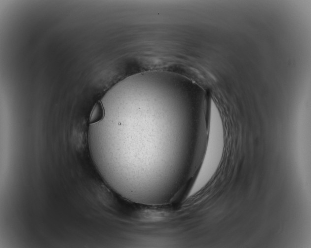 X0000086740515200704201708