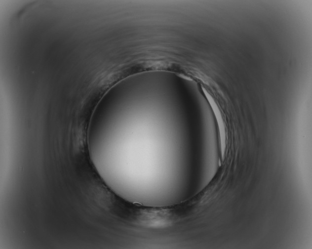 X0000086740517200704201708