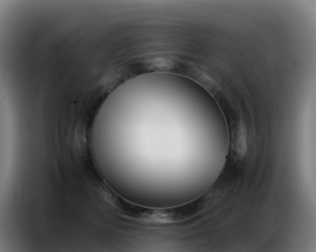 X0000086740518200704201708