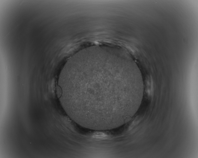 X0000086740519200704201708