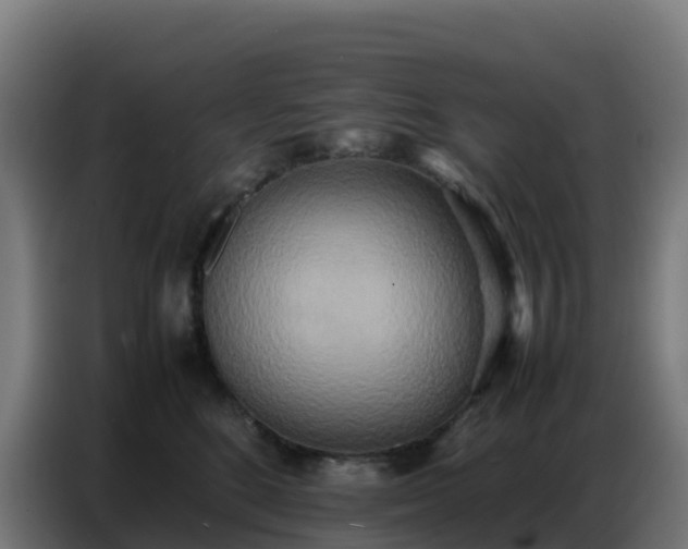 X0000086740520200704201708