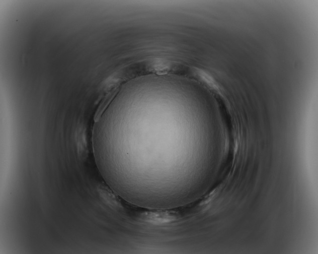 X0000086740524200704201708