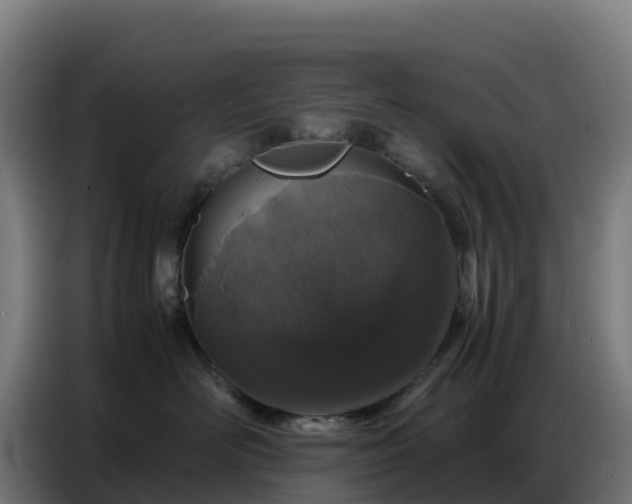 X0000086740526200704201708