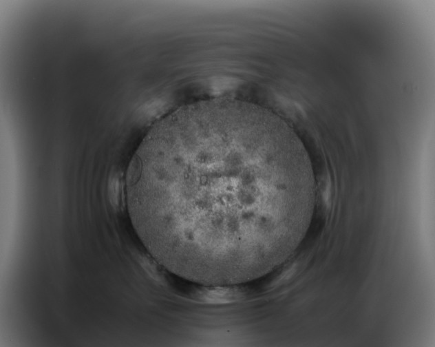 X0000086740527200704201708