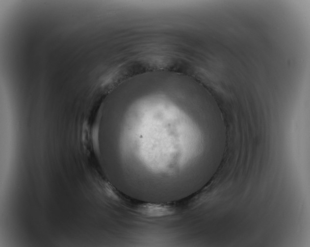 X0000086740528200704201708