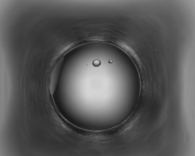 X0000086740529200704201707