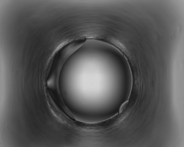 X0000086740530200704201707