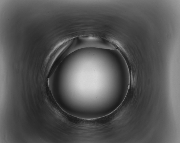 X0000086740531200704201707