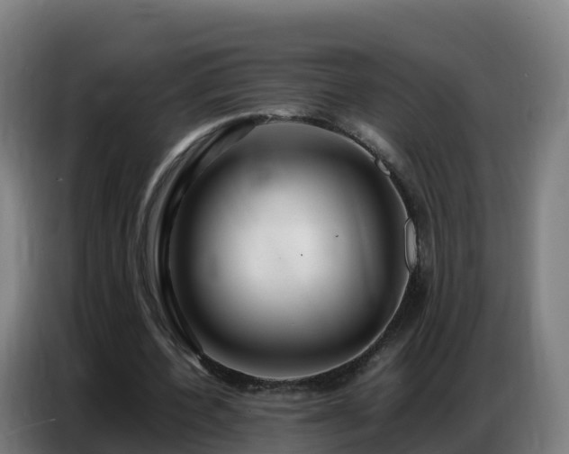 X0000086740532200704201707