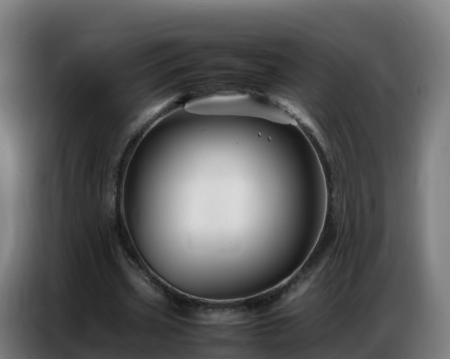 X0000086740533200704201707