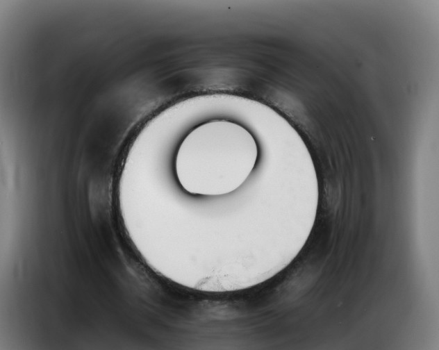 X0000086740534200704201707