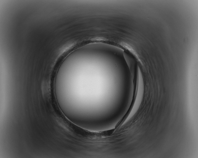 X0000086740535200704201707