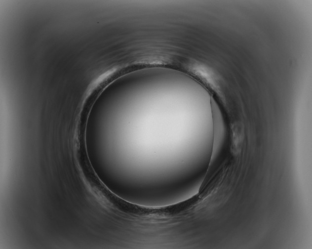 X0000086740536200704201707