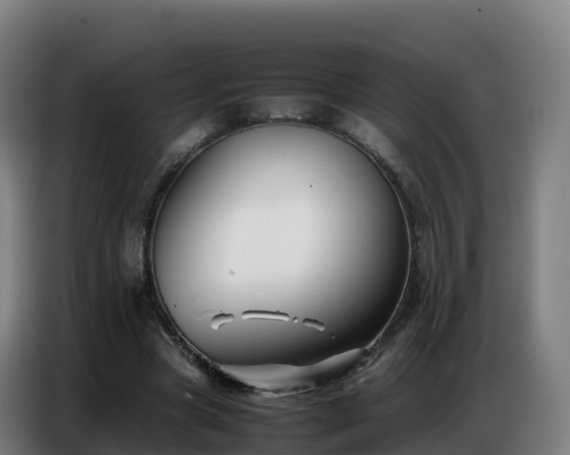 X0000086740537200704201707