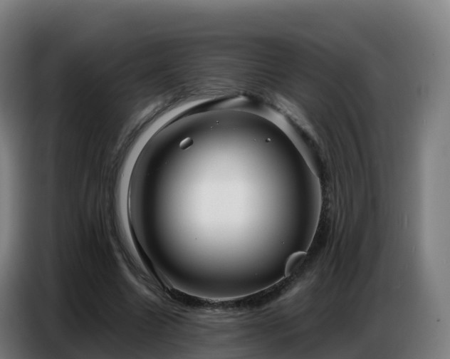 X0000086740538200704201707