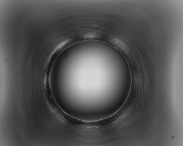 X0000086740539200704201707