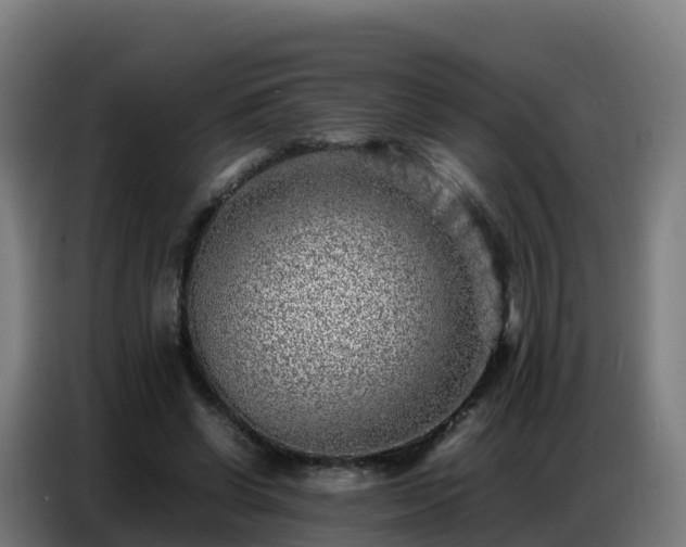 X0000086740542200704201707