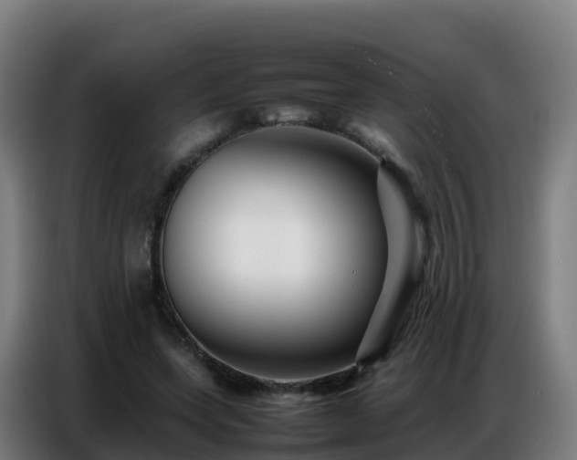 X0000086740543200704201708