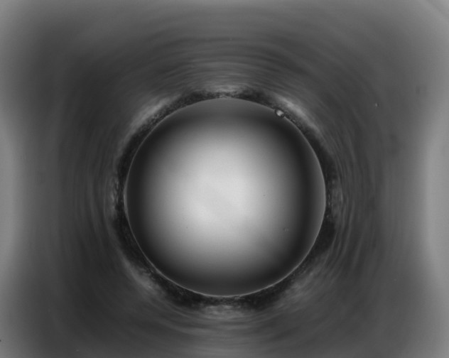 X0000086740544200704201708