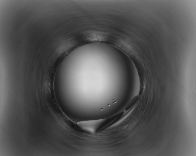 X0000086740547200704201708