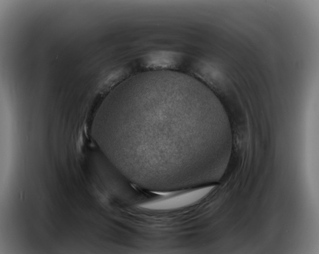 X0000086740551200704201708