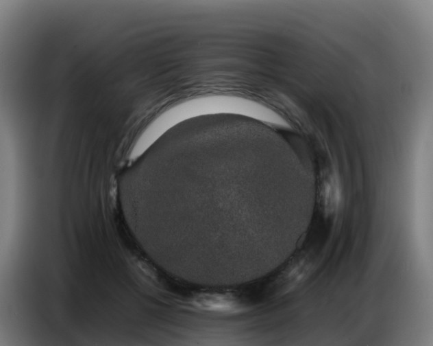 X0000086740552200704201708