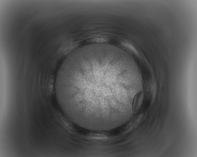 X0000086740553200704201708