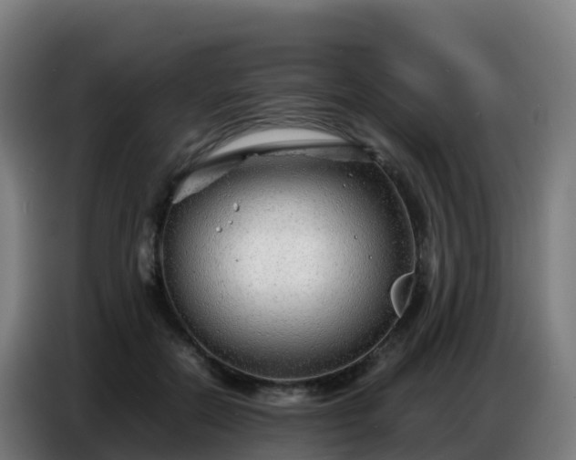 X0000086740554200704201708