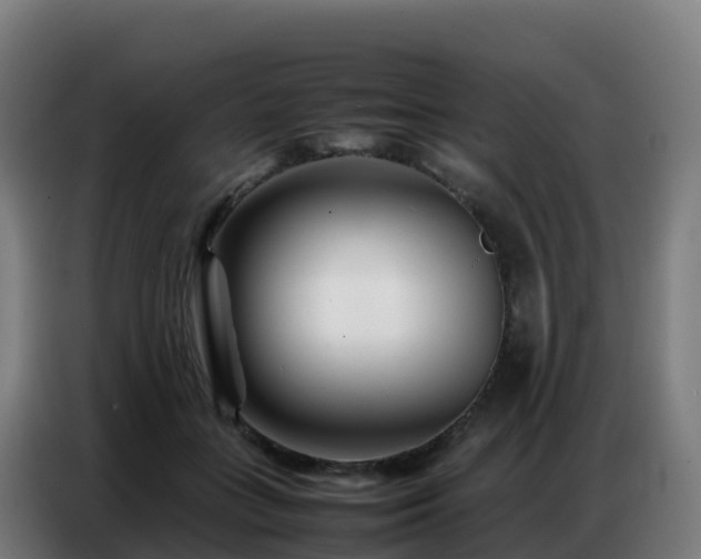 X0000086740555200704201708