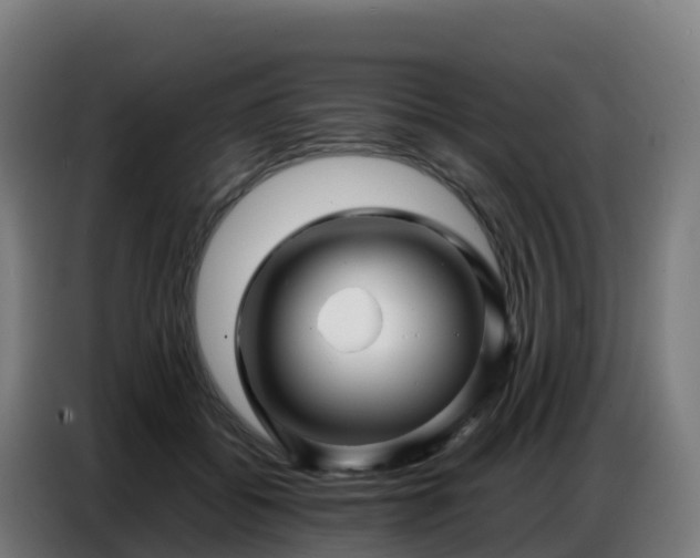 X0000086740556200704201708