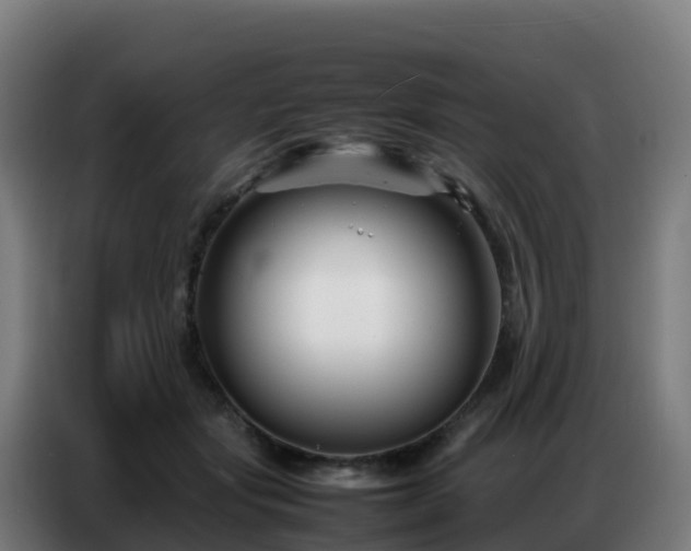 X0000086740557200704201708