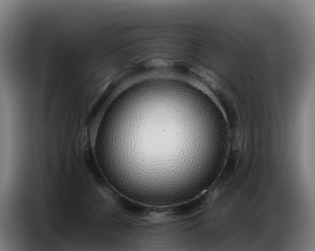 X0000086740560200704201708