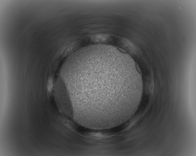 X0000086740561200704201708