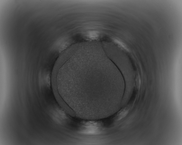 X0000086740562200704201708